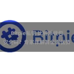 Bitpie私钥 比特派钱包安全吗？专家详解其全面优势