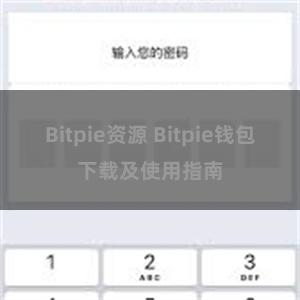 Bitpie资源 Bitpie钱包下载及使用指南