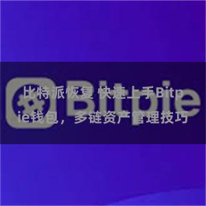 比特派恢复 快速上手Bitpie钱包，多链资产管理技巧