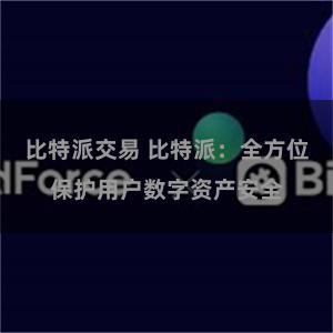 比特派交易 比特派：全方位保护用户数字资产安全