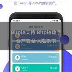 Bitpie支持 Bitpie数字资产安全保障指南