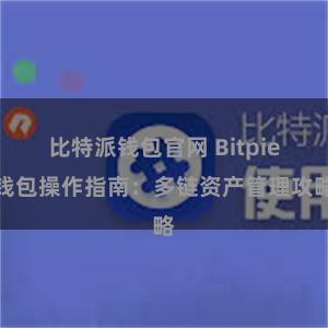 比特派钱包官网 Bitpie钱包操作指南：多链资产管理攻略