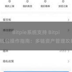 Bitpie系统支持 Bitpie钱包操作指南：多链资产管理攻略