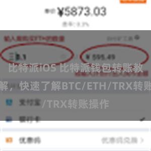 比特派iOS 比特派钱包转账教程详解，快速了解BTC/ETH/TRX转账操作