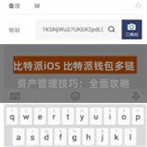 比特派iOS 比特派钱包多链资产管理技巧：全面攻略