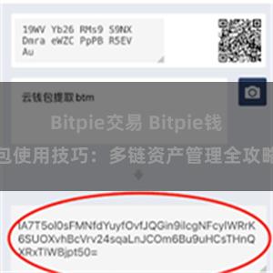 Bitpie交易 Bitpie钱包使用技巧：多链资产管理全攻略