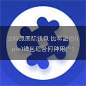 比特派国际钱包 比特派(Bitpie)钱包适合何种用户？