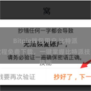Bitpie钱包用户 比特派教程免费下载，一键掌握比特派技能