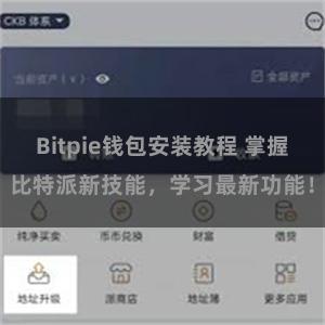 Bitpie钱包安装教程 掌握比特派新技能，学习最新功能！