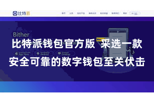 比特派钱包官方版  采选一款安全可靠的数字钱包至关伏击